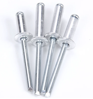 Rivets aveugles et écrous à sertir en fer, fixations en acier classe 4, galvanisés, fabriqués par un fabricant