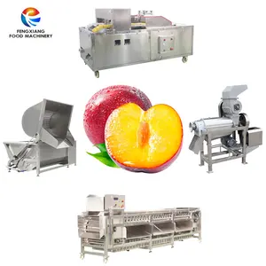 Fruit Apricots Plum Cherry Lychee Longan Peach Olive Date Washing Grading Juicing Pitting Core Remover Processing Line