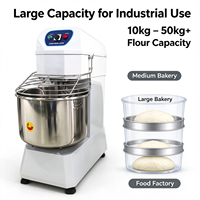 Mélangeur à pâte commercial 20L, grande capacité, machine industrielle pour pétrir la farine, équipement de pétrissage pour boulangerie et restaurant