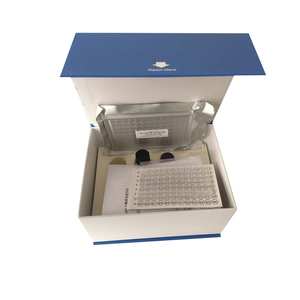Kit de recherche ELISA pour le Cathepsine <span class=keywords><strong>G</strong></span> humaine (cath-<span class=keywords><strong>G</strong></span>) - Product Image 3