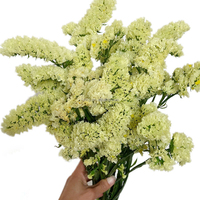 Harga pabrik bunga segar yang diawetkan untuk pernikahan dalam ruangan menghilangkan saya bukan Myosotis Sylvatica Statice Limonium