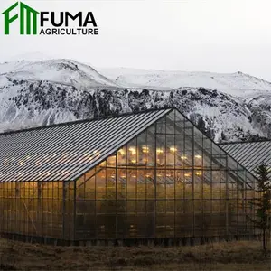 FUMA Agricultura Multi Span Phim Nhựa Nhà Kính Israel Đối Với Khí Hậu Nhiệt Đới