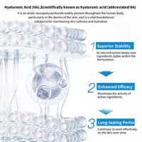 Sérum HA Pur à l'Acide Hyaluronique en Ampoules Marque Blanche pour Augmentation des Lèvres, Gloss Repulpant et Soin Anti-Rides des Lèvres