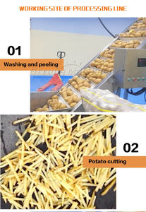 Línea de producción de patatas fritas congeladas completamente automáticas - Product Image 4