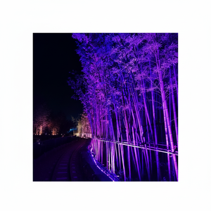 Lumières LED décoratives pour arbres, étanches IP65, pour parcs et jardins, pour Noël et les événements festifs - Product Image 1