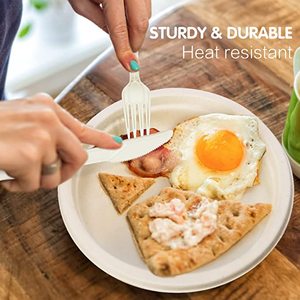 عينة مجانية من المصنع مباشرة سعر سكين للاستعمال مرة واحدة في الغذاء الصف Pla قابلة للتحلل الحيوي - Product Image 4