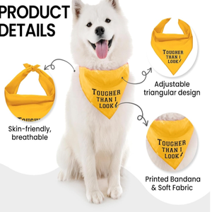 Bandana pour chien ajustable unisexe, mouchoir triangle, bavoir jaune imprimé «Born Run», accessoire de vêtements pour animaux de compagnie lavable et mignon - Product Image 3