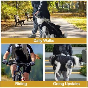 Chaleco de Recuperación para Perros con Tela Impermeable y Resistente a la Suciedad, Multifuncional, Garantiza la Seguridad para Perros Discapacitados o Mayores - Product Image 6