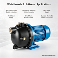 Pompa Jet Booster Motor Listrik Tekanan Tinggi Self-Priming untuk Taman, Bodi Besi Cor, Motor Paduan Aluminium 1 inci OEM