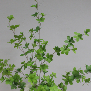 Hot Bán thiết kế mới trong nhà cây nhân tạo trang trí nội thất cây nhựa cho trang trí nội thất - Product Image 5