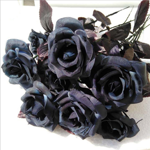 Attractive Real Black Flowers For Decorative Needs Alibaba Com