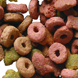 Extrudeuse automatique à double vis pour aliments secs pour animaux de compagnie, avec contrôle PLC, pour la production de croquettes et de boulettes pour chiens, ligne de production, machine, moteur - Product Image 6