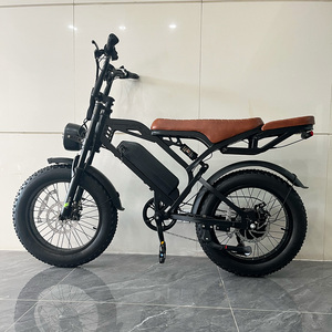 Momo Electric Bike Fat Tire 250W Brushless 20 Inch Retro Style Full Suspension Lithium Battery Rear Hub European Plug Mountain - Product Image 1