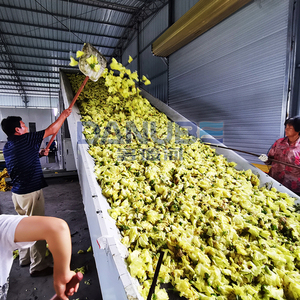 Equipo de secado de crisantemo blanco inteligente automático deshidratador de flores secador de cinta de malla de flores - Product Image 4