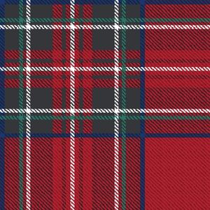 Juego de Funda de Edredón 100% Algodón, Diseño Kilt, Cama Individual Francesa 140x200cm - Product Image 2