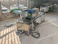 Vbjx 100Kg Verse Kokosnoot Draak Fruit Groente Gepulseerde Lucht Met Voor Wastank Zwembad En Snijmachine Lijn