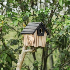 Casa Bluebird de madera, casas de pájaros colgantes para exteriores con guardia de depredador, casa de caja de pájaros salvajes al aire libre - Product Image 2