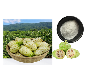 Yüksek kaliteli toptan <span class=keywords><strong>Noni</strong></span> meyve tozu vitamini davul/şişe ambalajlama 99% - Product Image 2