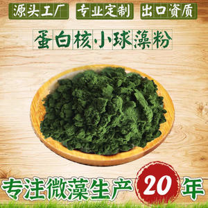 Meilleure vente 1KG de la paroi cellulaire cassée du fabricant noyau de protéine pyrénoïde poudre de chlorella poudre d'algue verte - Product Image 2