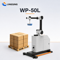 Robot de palettisation collaboratif WP-50L, palettiseur collaboratif, équipement d'empilage de cartons, sacs, caisses, vente en gros d'usine