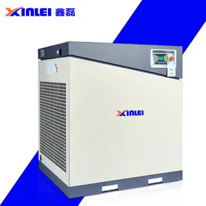 Compresor de aire de tornillo de compresor de aire de alta calidad con extremos de aire de