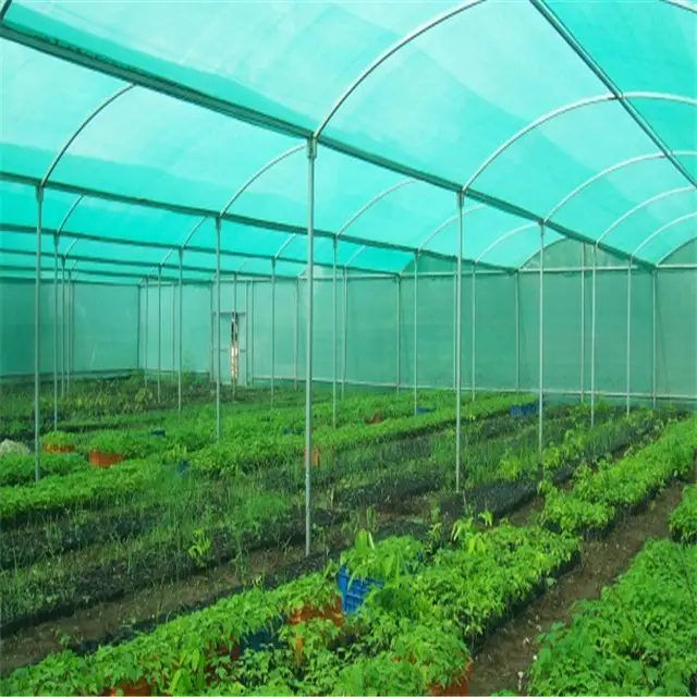 Hoch leistungs kunststoff Sun Agricultural Green Shade Net/Agricultural Shade Net Schwarzes Sonnenschutz netz
