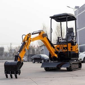 Facteurs qui influencent le <span class=keywords><strong>prix</strong></span> de la location d'une machine d'excavation pour les projets de week-end ou à court terme - Product Image 3