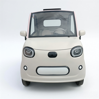 Voiture électrique à 4 roues entièrement fermée de haute qualité, voiture électrique à faible vitesse pour adultes, aucun permis de conduire requis