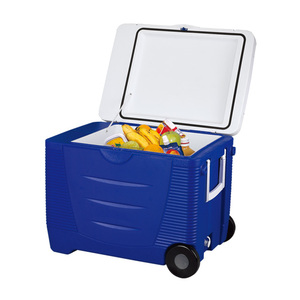 EVERCOOL 45L DC 12 volts bière plateau portable glacière réfrigérateur de voiture avec roues thermoélectrique refroidisseur - Product Image 2