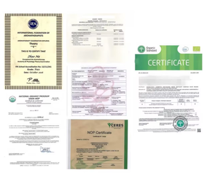 Integratori Probiotici per Cavalli di Alta Qualità OEM, Gusto Mela in Gel per la Salute Equina - Product Image 6