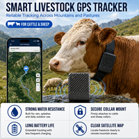 Traceur GPS en temps réel pour bovins et localisateur de moutons, dispositif de gestion du bétail 4G avec support de collier étanche et carte satellite