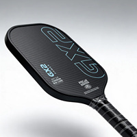 Nouvelle pagaie de pickleball Ledao 2026 en fibre de carbone 3K sans bordure, noyau en nid d'abeille de 16 mm, légère, portable et de haute qualité