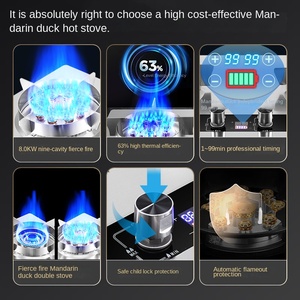 Panel de acero inoxidable Big Fire construido en gas licuado de petróleo 2 quemadores estufa de gas Cocina - Product Image 5
