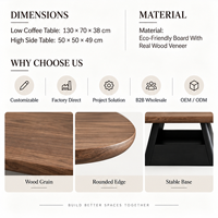 Ensemble de table basse ovale avec tiroir de rangement, style moderne minimaliste du milieu du siècle, meubles de salon, fabrication OEM ODM directe d'usine