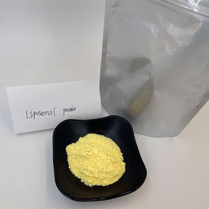 Suministro de fábrica a granel 50% vitamina <span class=keywords><strong>B1</strong></span> Liposomas en polvo para alimentos saludables - Product Image 3