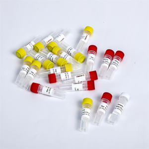 Construction de la bibliothèque NGS DNA PCR Multiplex Oligos 2 pour plate-forme Illumina K002-B 192 rxns - Product Image 5