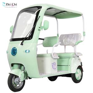 รถจักรยานยนต์ไฟฟ้า<span class=keywords><strong>สามล้อ</strong></span>1000วัตต์สามารถลงทะเบียน<span class=keywords><strong>ได้</strong></span>400กก. สำหรับบรรทุกผู้โดยสาร - Product Image 4