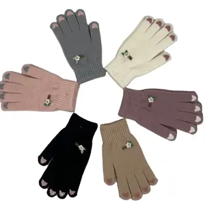 Wholesale Ladies Heat Cold Resistant Winter Gloves Warm Fashion Touch Screen Gloves Winter