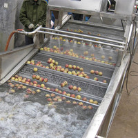 Machine polyvalente de nettoyage de légumes à bulles à haut rendement et laveuse de fruits pour usage industriel