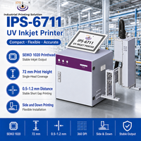 Printer Inkjet UV Piezo Otomatis Industri IPS-6711 Tinggi Cetak 72mm untuk Pengkodean Kertas, Plastik, Logam & Kayu Harga Kompetitif