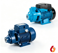 Pompe à eau périphérique haute efficacité, faible bruit, auto-amorçante, à vortex, pour surpression d'eau domestique et alimentation en eau de jardin