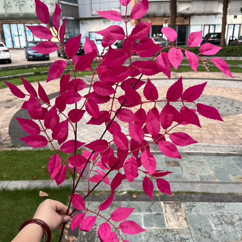3 fourchettes feuilles de lingxiao rose rouge