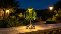 Lampe de table contemporaine rechargeable à piles, 3 CCT, à intensité variable par toucher, idéale pour la chambre à coucher, la lecture au chevet, le camping