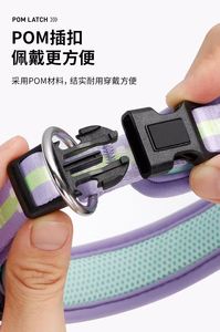 Premium moderne ademende milieuvriendelijke verstelbare hondenhalsband met zacht luchtnet gevoerd polyester plastic solide - Product Image 5