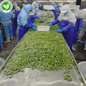 <span class=keywords><strong>Edamame</strong></span> Biologico Surgelato IQF in Baccello, Fagioli di Soia Sgusciati Interi, Prezzo Competitivo per Vendita all'Ingrosso - Product Image 5