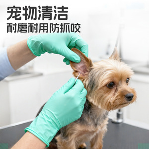 Blue <b>Sail</b> Air <b>Gloves</b> M 50pcs Non-Sterile Nitrile Powder-Free For Food Processing - Product Image 5