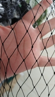 Best Sale Hdpe Geknoopt Anti Vogel Bescherming Net Vogel Mesh Anti Vogel Net Voor Fruitboom Tuin