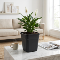 Pots de Jardin Décoratifs Carrés en PP, Style Japandi, Durables, Légers, avec Trou de Drainage, pour Intérieur/Extérieur, Vente en Gros