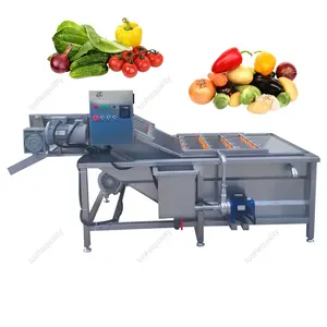 Vegetable Fruits Processing Line Fresh Garlic Ginger Cleaning Machinery Potato Tomato Washer