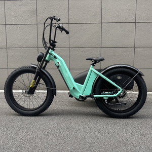 Tricycle Électrique Adulte avec Side-car, Vélo Électrique à 3 Roues 750W, Batterie Lithium Cachée, E-trike Sidecar CITY 6 Vitesses Ouka pour Livraison Familiale - Product Image 4